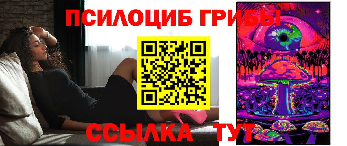Арзамас  Галлюциногенные грибы прущие грибы  Псилоцибиновые грибы мицелий  Вход с VPN 
